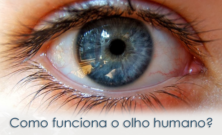 Como funciona o olho humano
